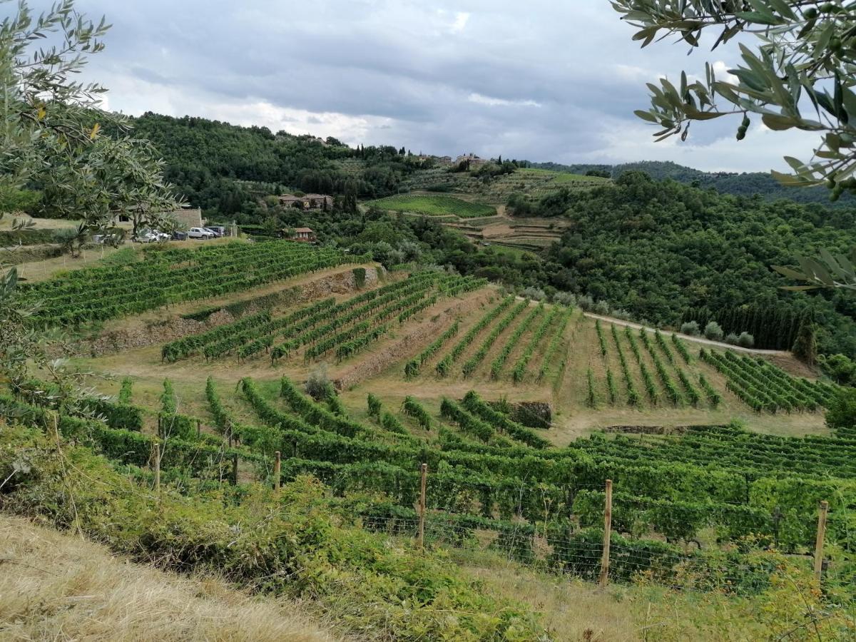 Agriturismo Poggio All'Olmo Villa Greve in Chianti Exterior foto