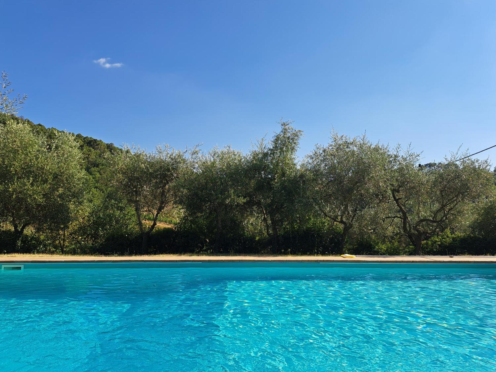 Agriturismo Poggio All'Olmo Villa Greve in Chianti Exterior foto