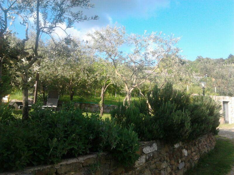 Agriturismo Poggio All'Olmo Villa Greve in Chianti Exterior foto