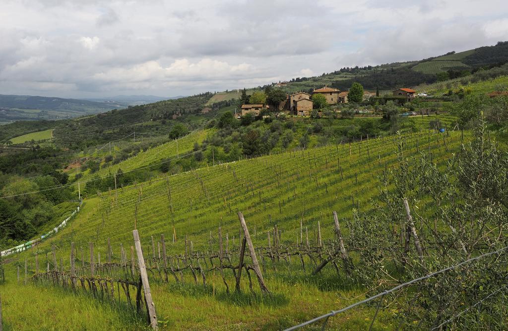 Agriturismo Poggio All'Olmo Villa Greve in Chianti Exterior foto