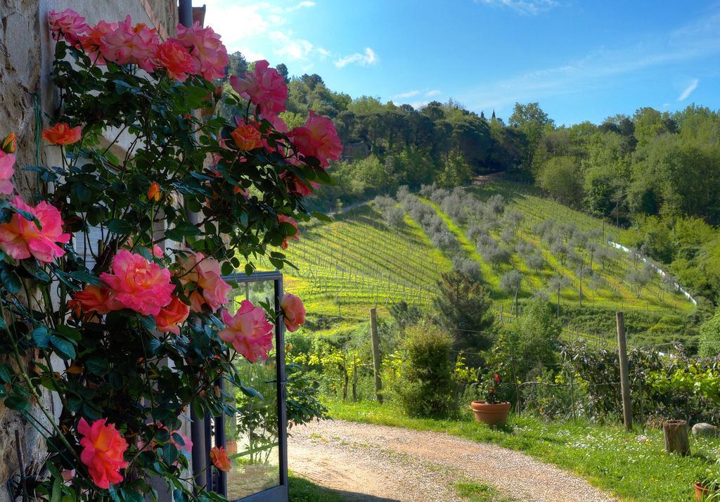 Agriturismo Poggio All'Olmo Villa Greve in Chianti Exterior foto